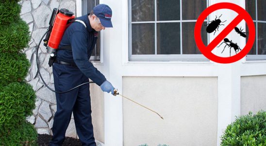 Karaisalı Tahtakurusu İlaçlama böcek ilaçlama ve haşere kontrolü — ilaclama-tr.com